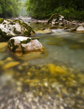 Le Chéran, rivière sauvage