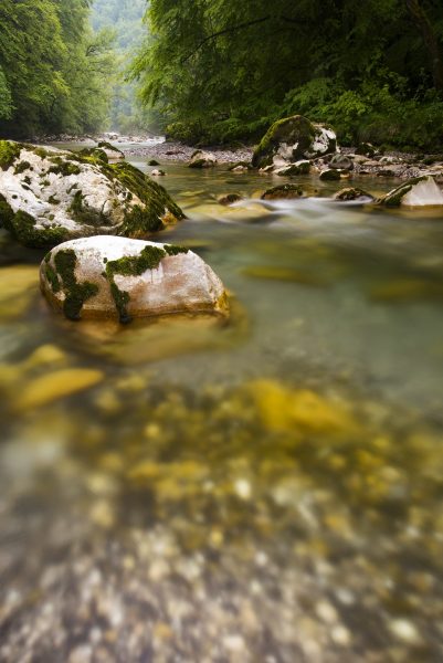 Le Chéran, rivière sauvage