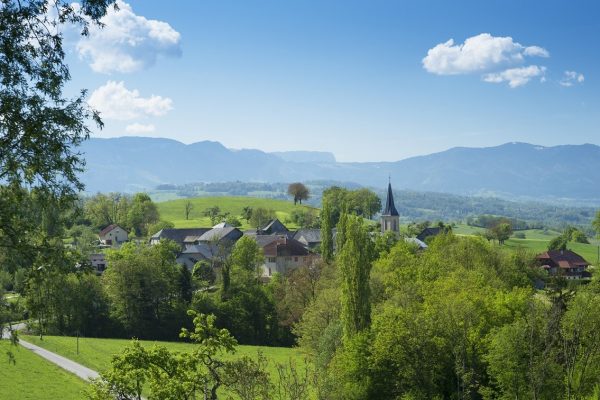 Nos plus belles pépites