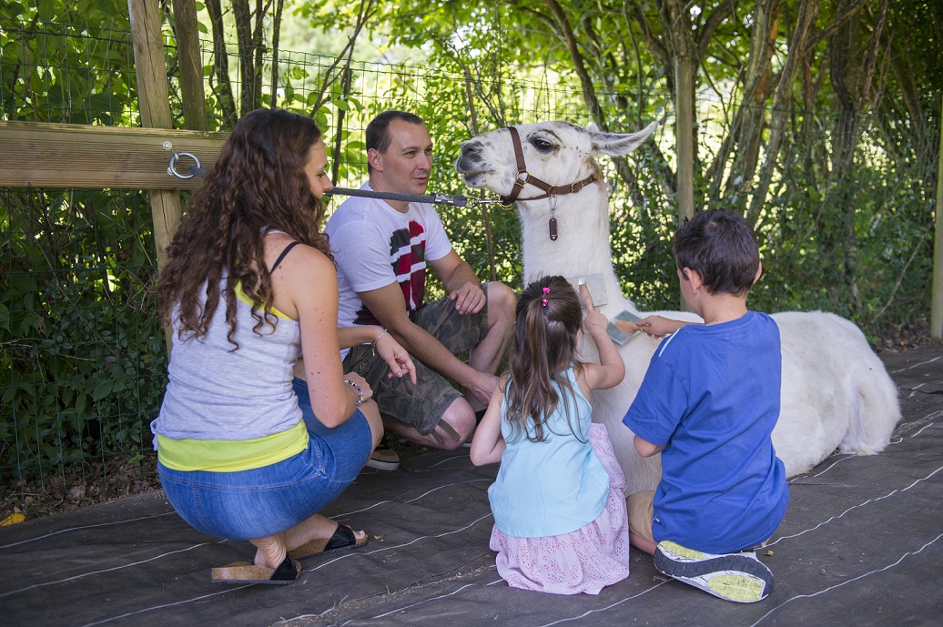 Lamas de Salagine, Bloye, Rumilly-Albanais