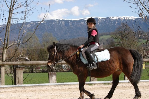 Équitation