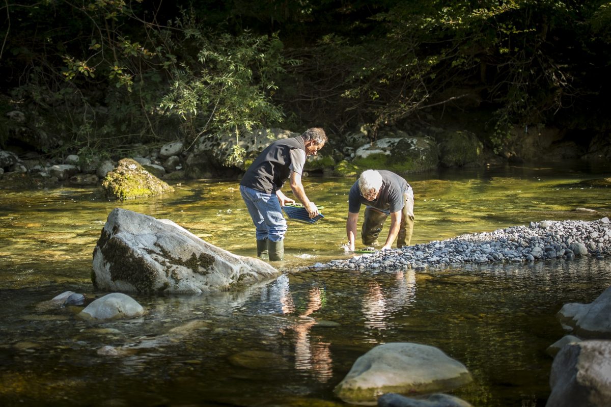 orpaillage rumilly-albanais