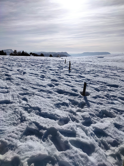 Raquettes à neige dans la Montagne de l'Ain - des itinéraires d'exception !