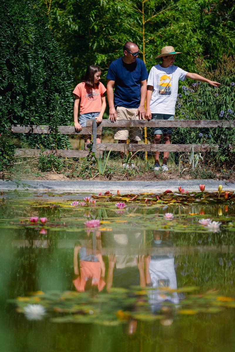 At the edge of the pond. Family discovery of the Jardins de Lornay.