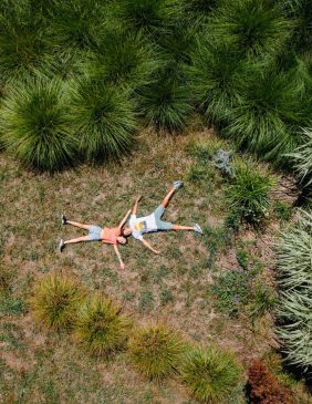 Les Jardins de Lornay