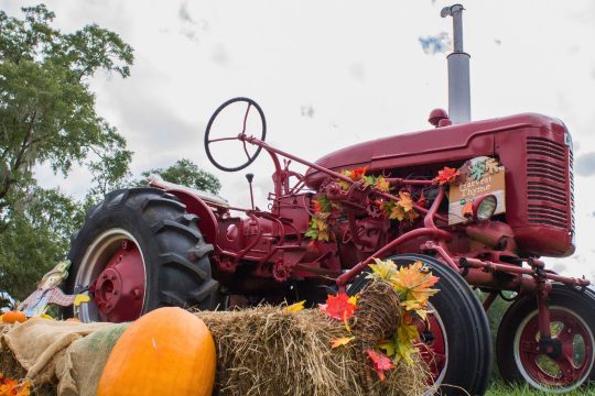 Un week-end de terroir et de tradition à Rumilly