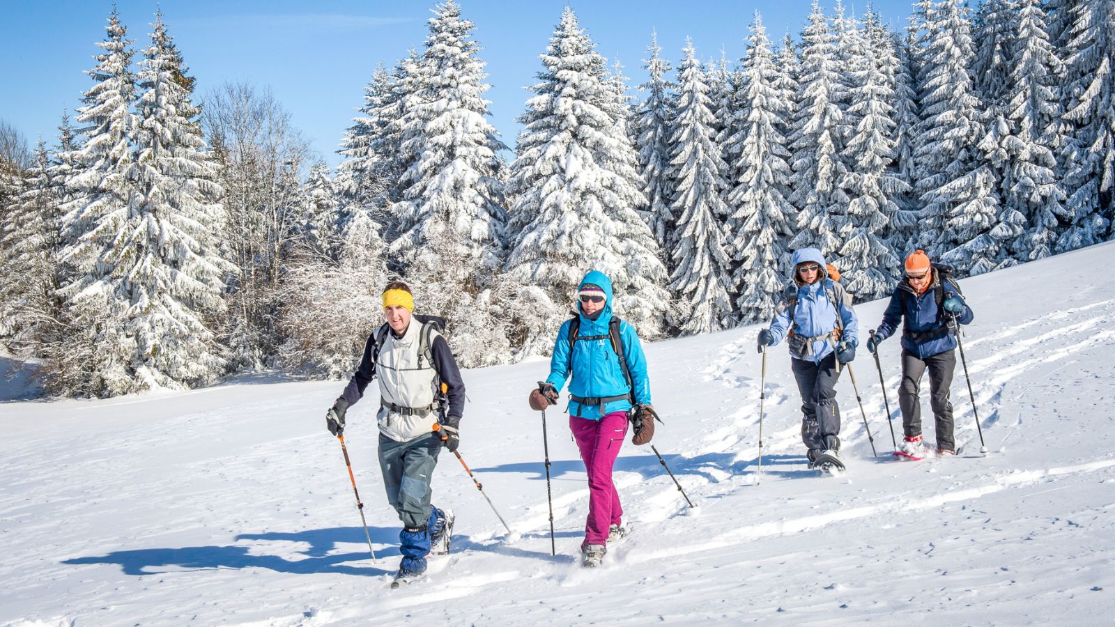 4 bonnes raisons de craquer pour Rumilly-Albanais cet hiver