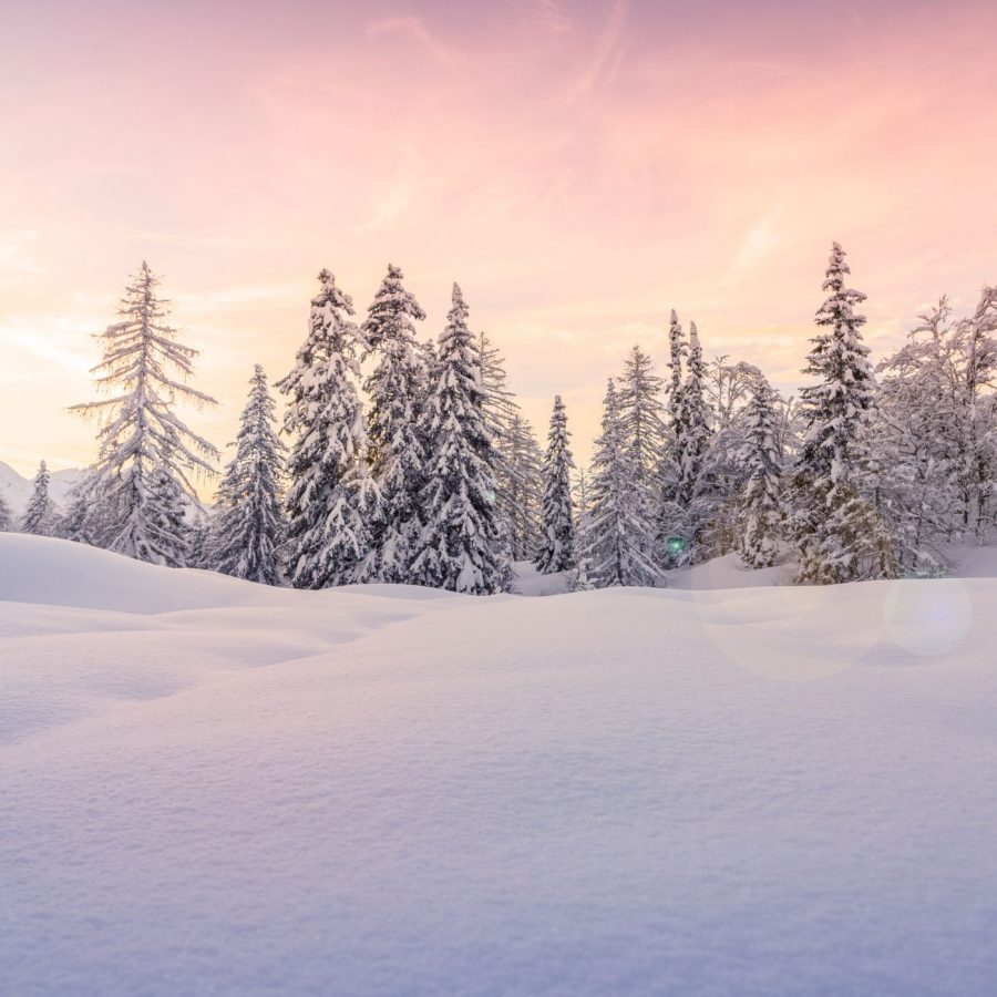 4 bonnes raisons de craquer pour Rumilly-Albanais cet hiver