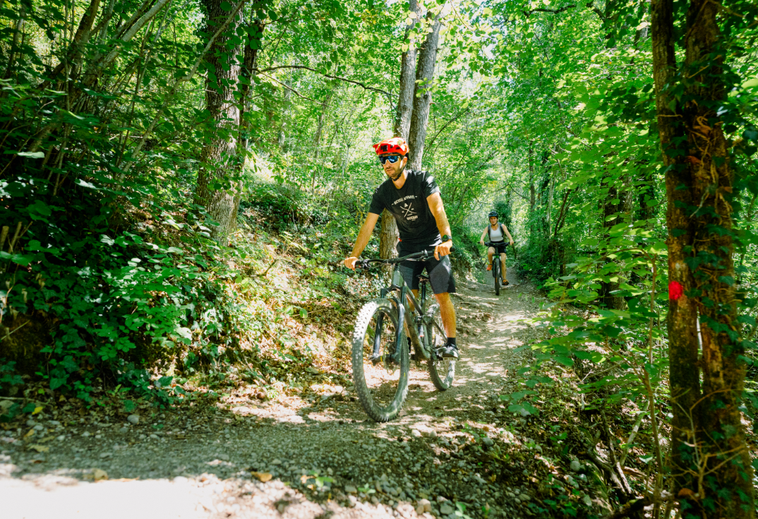 VTT
