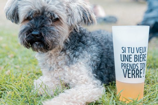 The Beer Village in Rumilly: a festive evening celebrating craft breweries