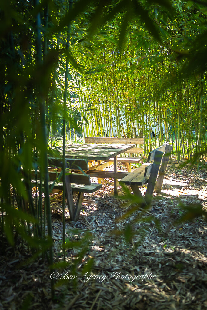 Espace pique-nique au cœur de la bambouseraie des Jardins de Lornay en Haute-Savoie