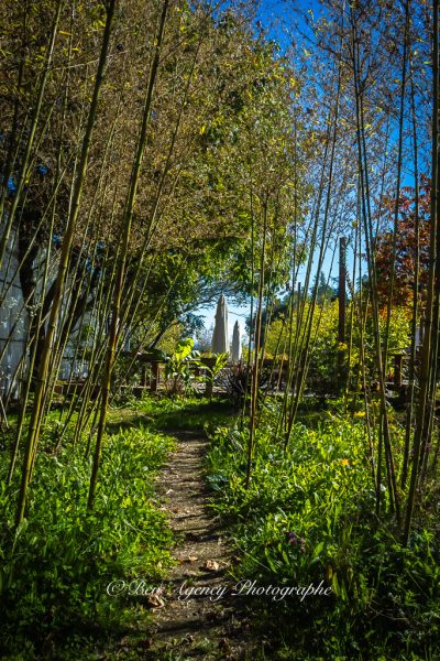 Balade au cœur de la bambouseraie des Jardins de Lornay en Haute-Savoie