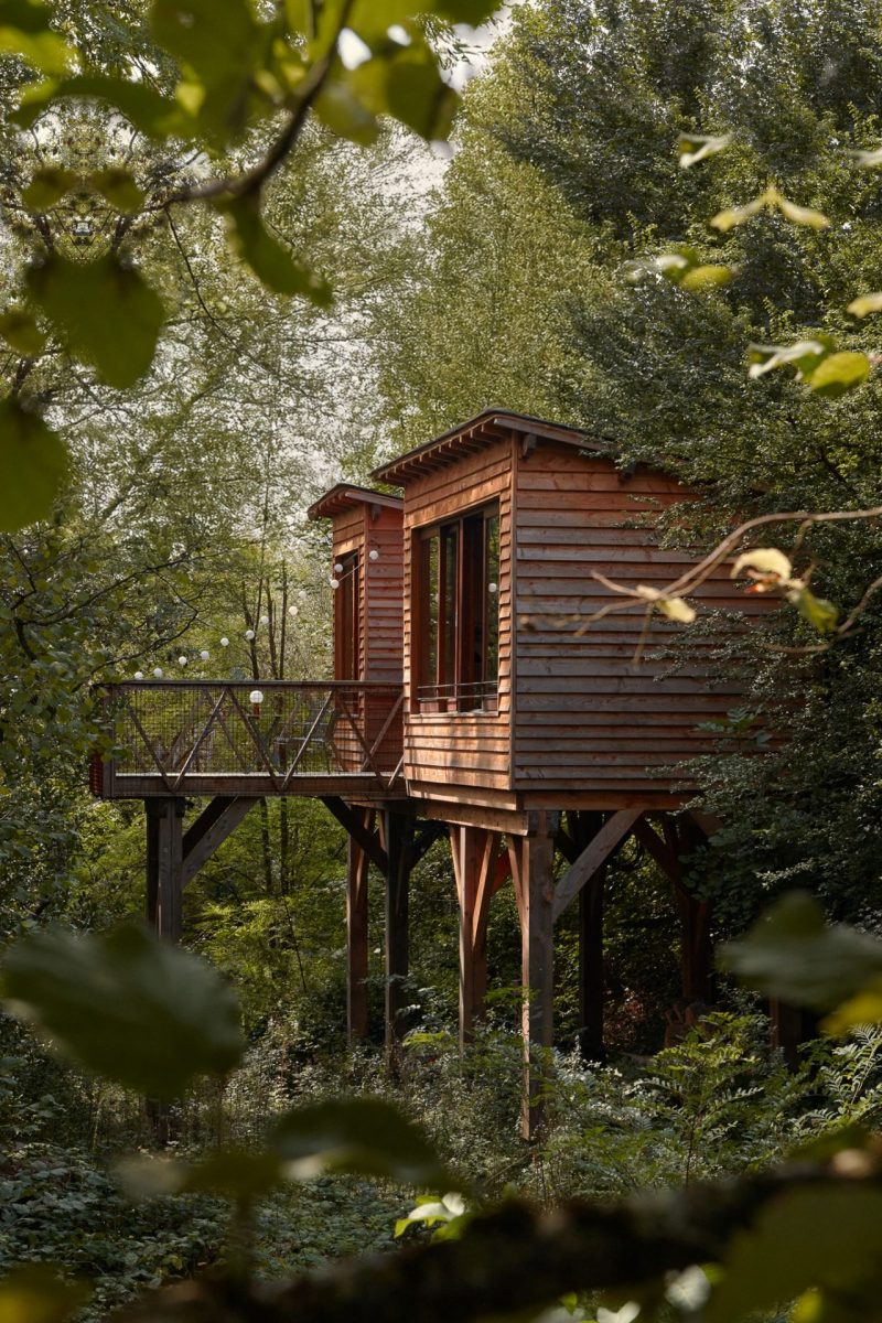Hébergement insolite au cœur de la forêt