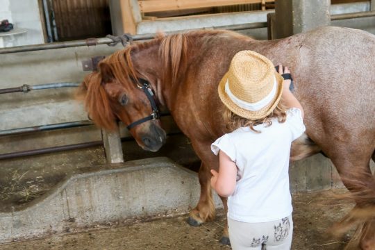 Cours d’équitation pour enfants près de Rumilly : une activité qui fait grandir les petits cavaliers