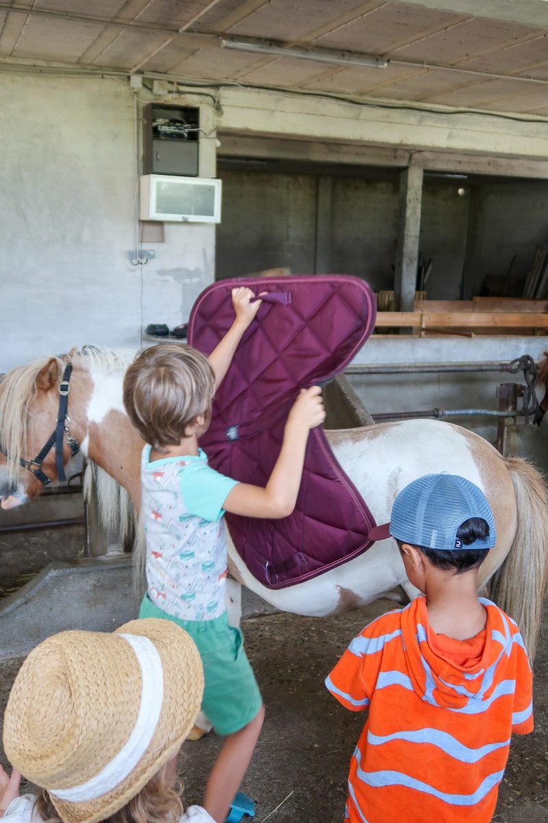 Equipement du poney - cours d'équitation à l'élevage de Kheïlan