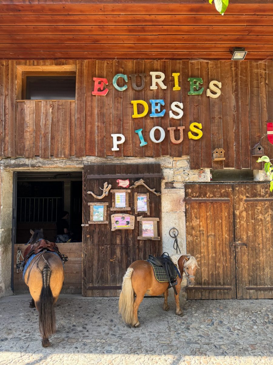 Les poneys sont devant l'écurie, lors des Pony Guinguettes, au cœur des Ecuries des Pious, en Haute-Savoie