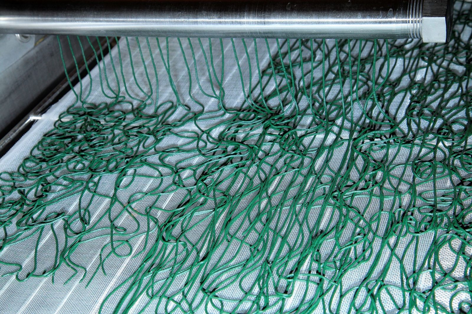 Transformation Spiruline des Bauges en Spaghettis