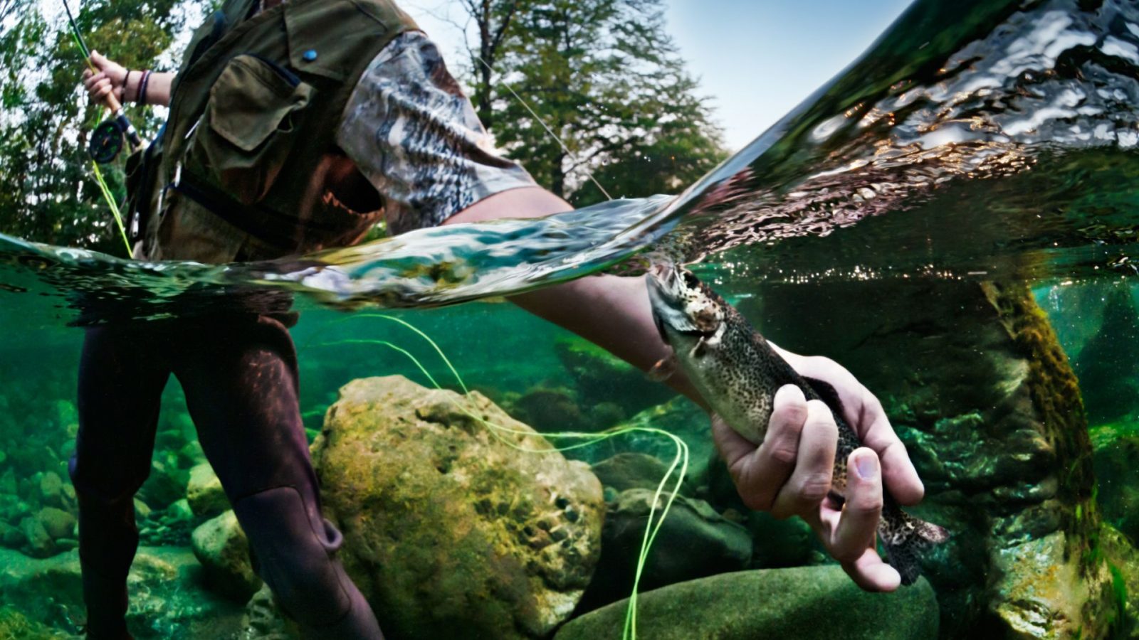 Parcours pêche « Le Chéran » – Boussy