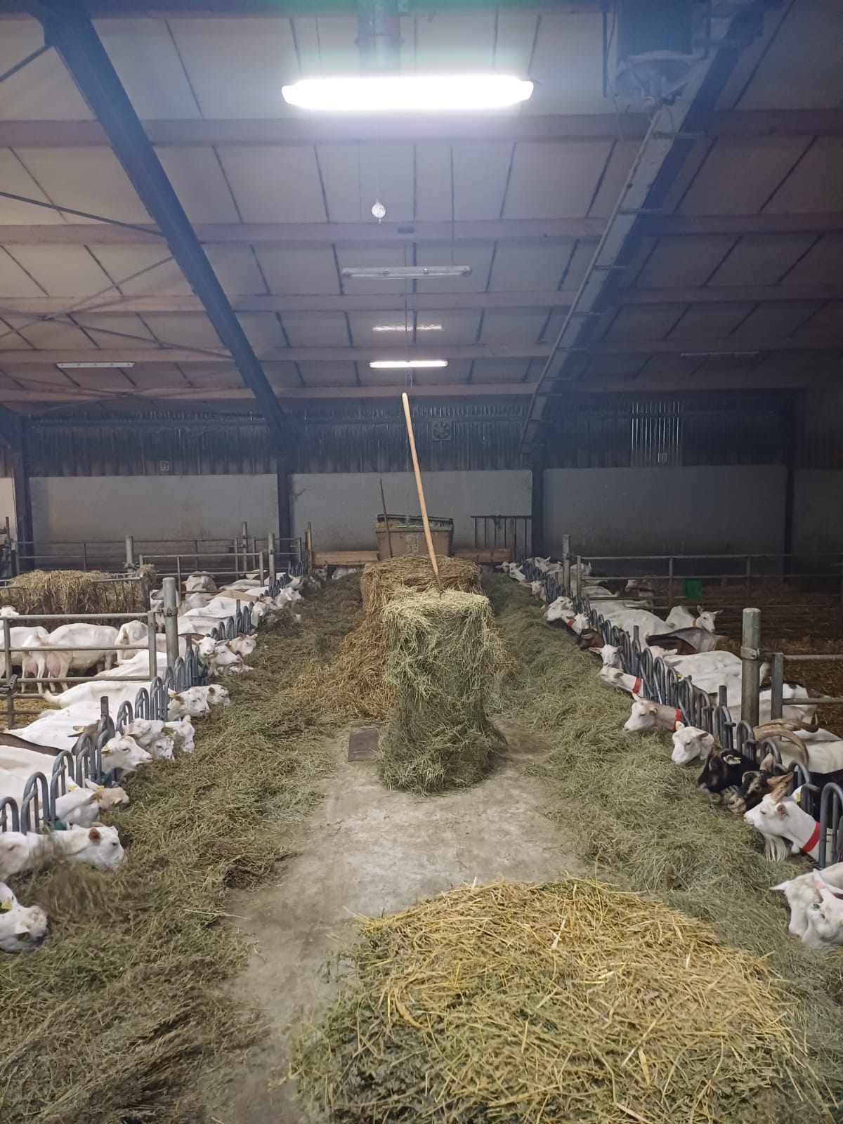 GAEC de l&rsquo;Alambic