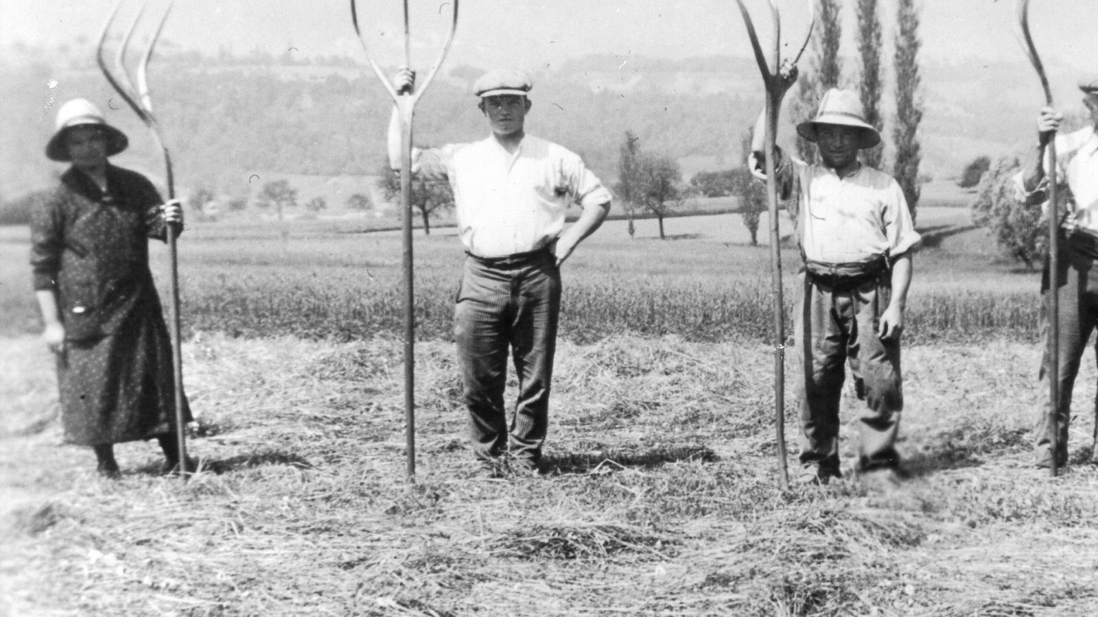 Conférence : Une année à la campagne : les temps forts de la vie paysanne d’autrefois
