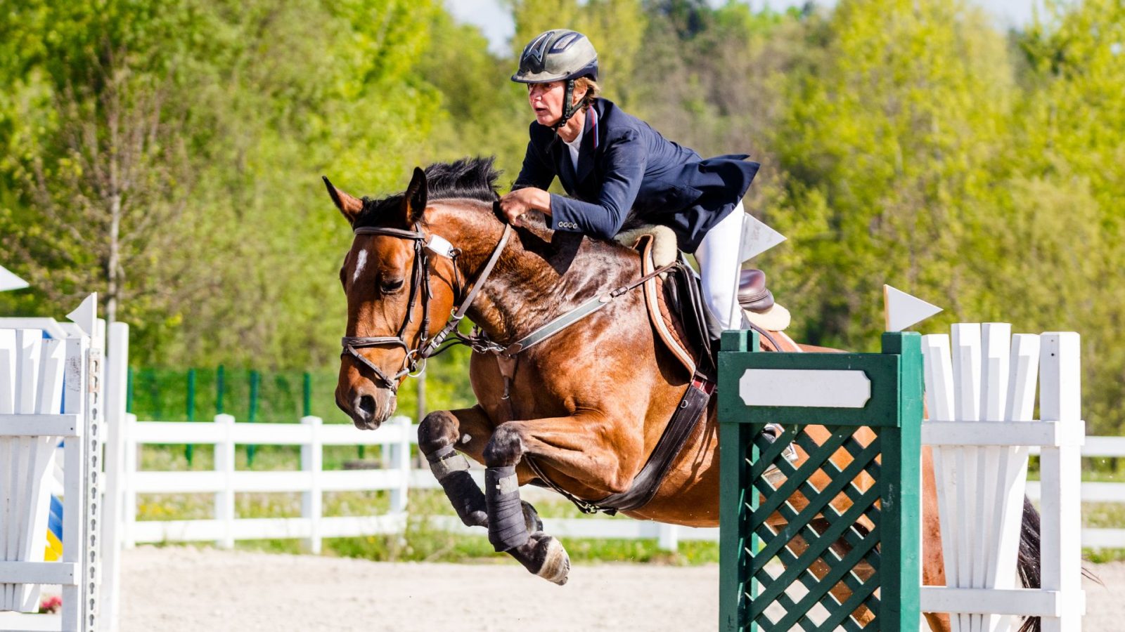 Stage perfectionnement et passage de galops