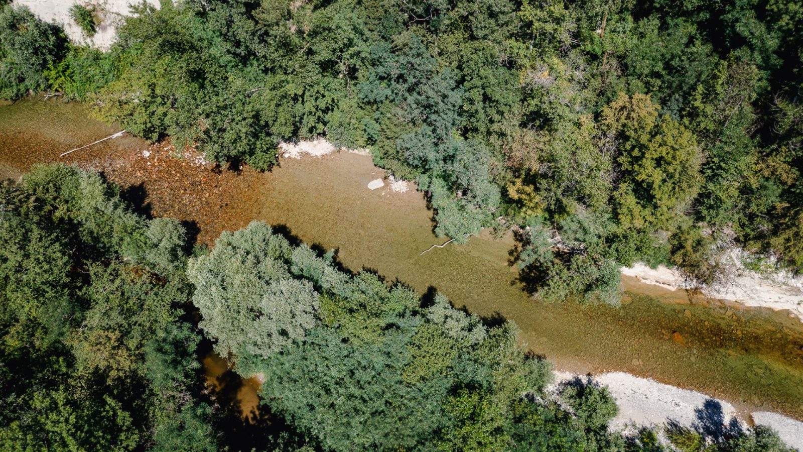 Au fil de la rivière