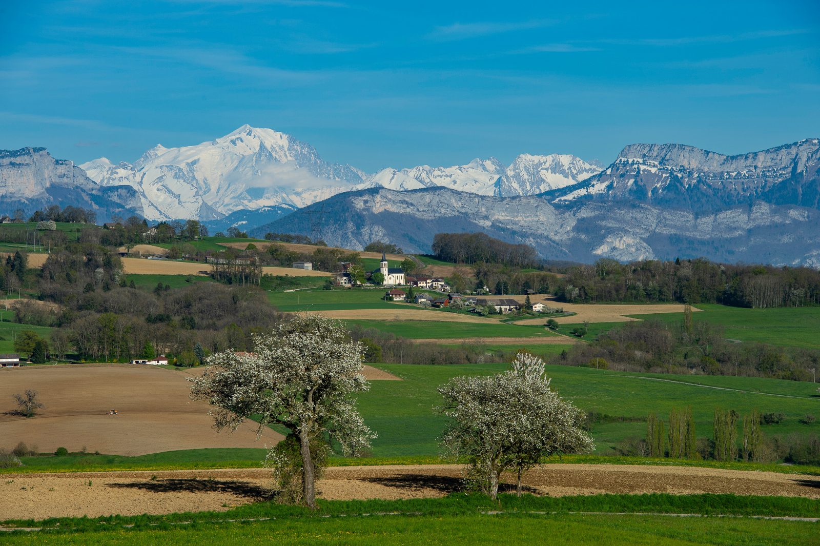 Exposition photo  » l’Albanais, balcon des Alpes »