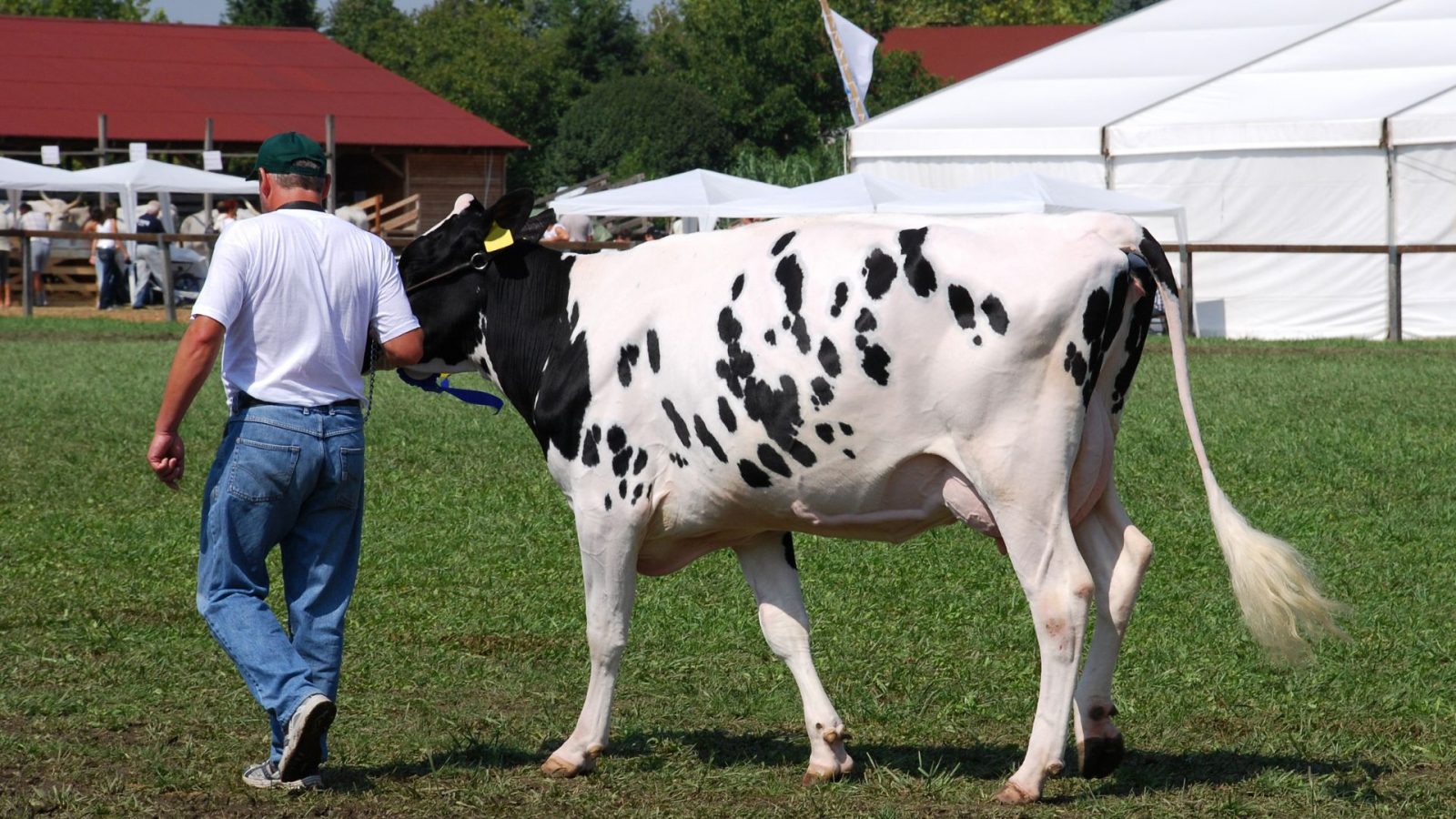 Foire agricole de rumilly