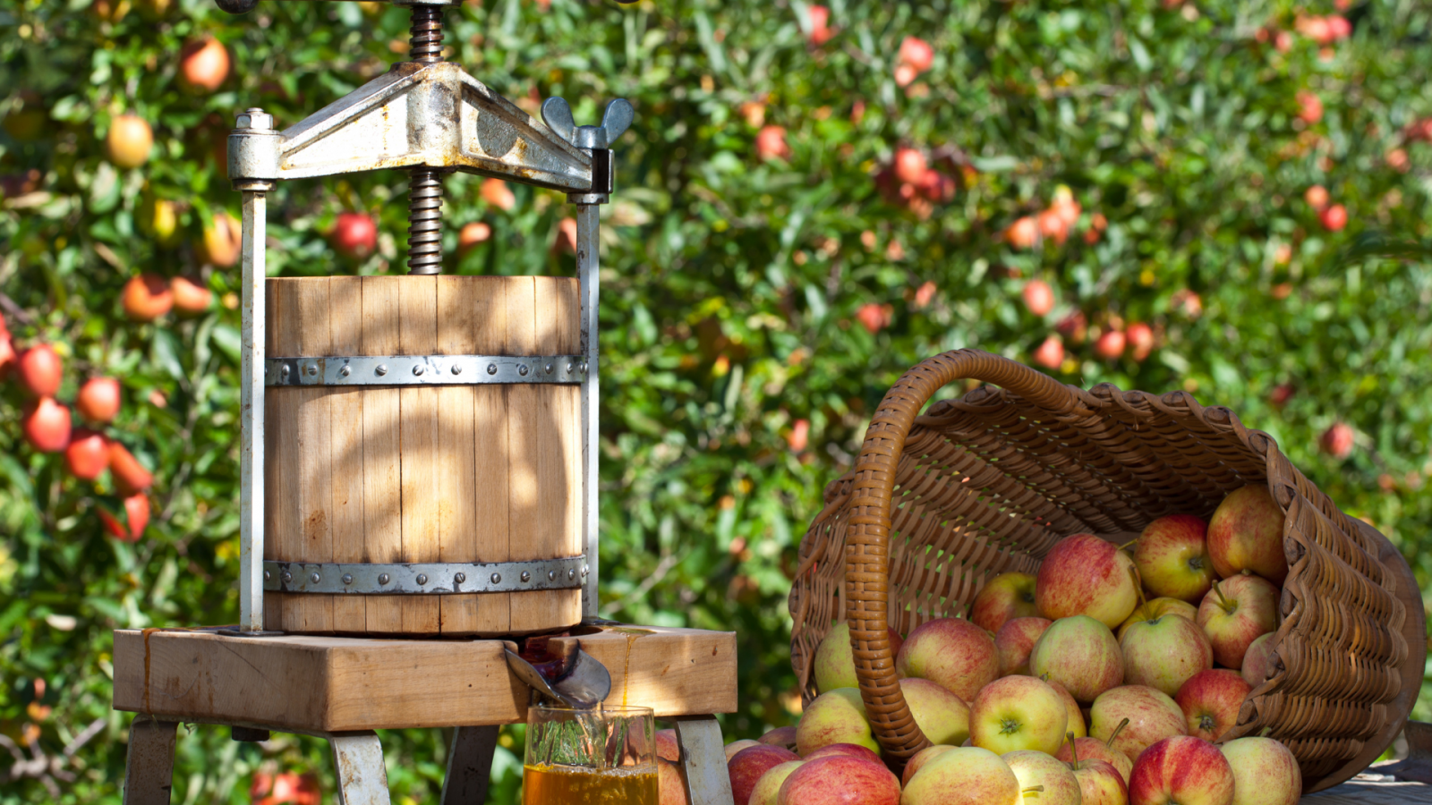 Fête de l&rsquo;automne