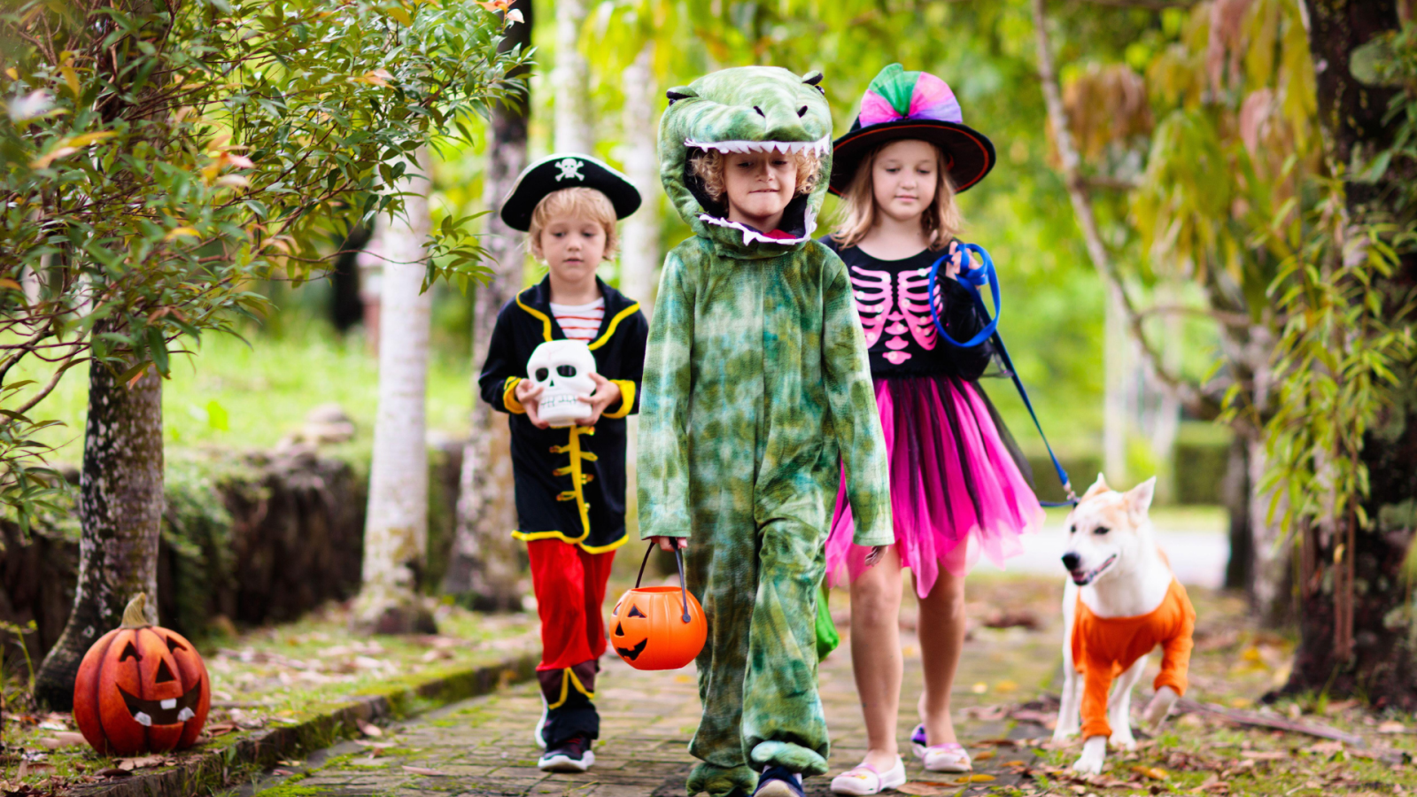 Fête Halloween