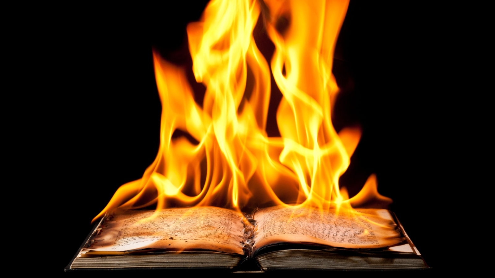 Les Combustibles – théâtre
